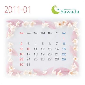 カレンダー201101