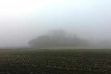 霧の一日