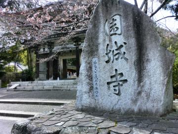 円城寺.三井寺の春.